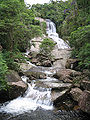 Serra do mar picinguaba 3.jpg