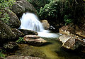 Serra do mar caraguatatuba 5.jpg