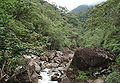 Serra do mar caraguatatuba 3.jpg