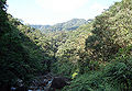 Serra do mar caraguatatuba 1.jpg