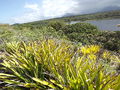 Lagoa de caraís.JPG